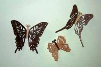 Fretwork Butterflies